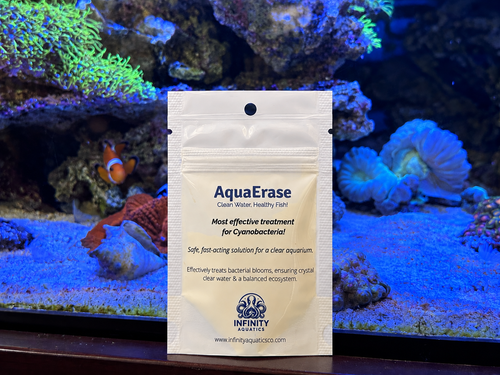 Front of the AquaErase pouch standing in front of a lit reef aquarium with a clownfish and corals
